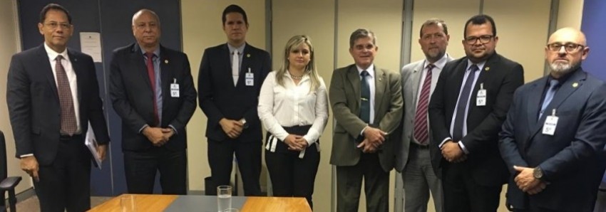 FEIPOL SUDESTE, COBRAPOL E FEDERAÇÕES SE REÚNEM NA SENASP PARA DISCUTIREM LEI ORGÂNICA NACIONAL DA POLÍCIA CIVIL
